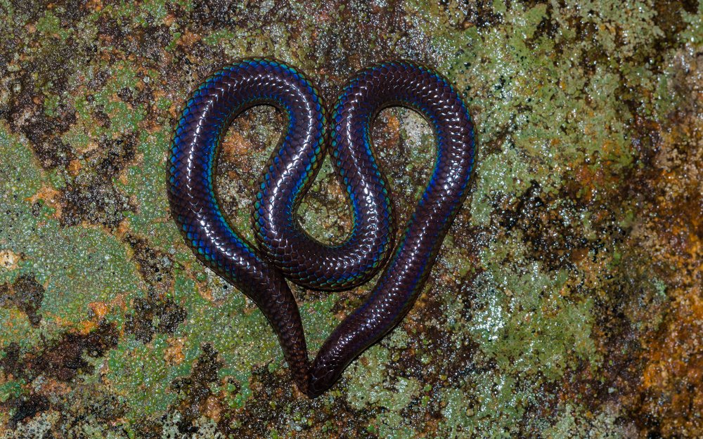 Heart of Mother Nature