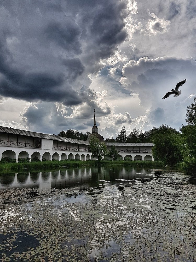 Photograph by Анастасия