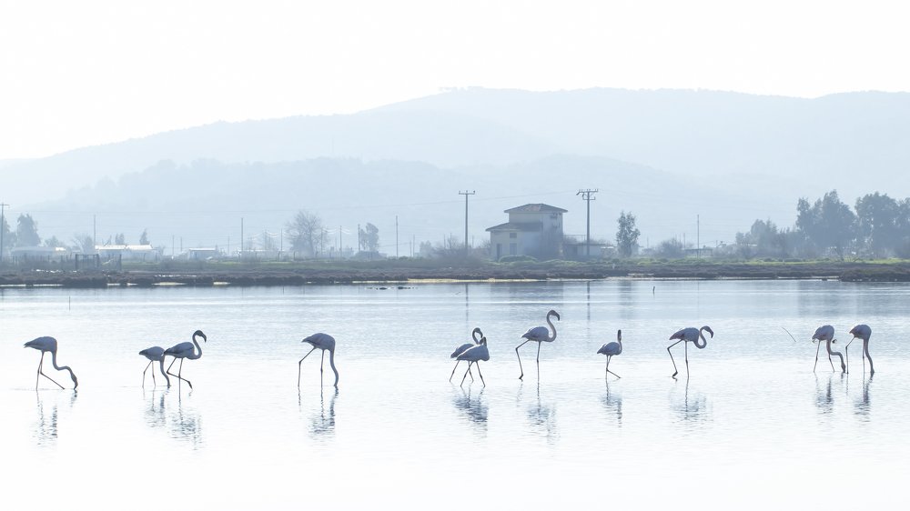 Photograph by Selma Kotancı