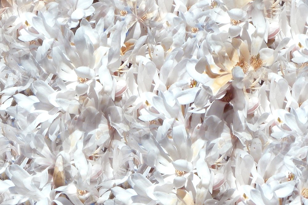 Photograph by julio cesar berisso