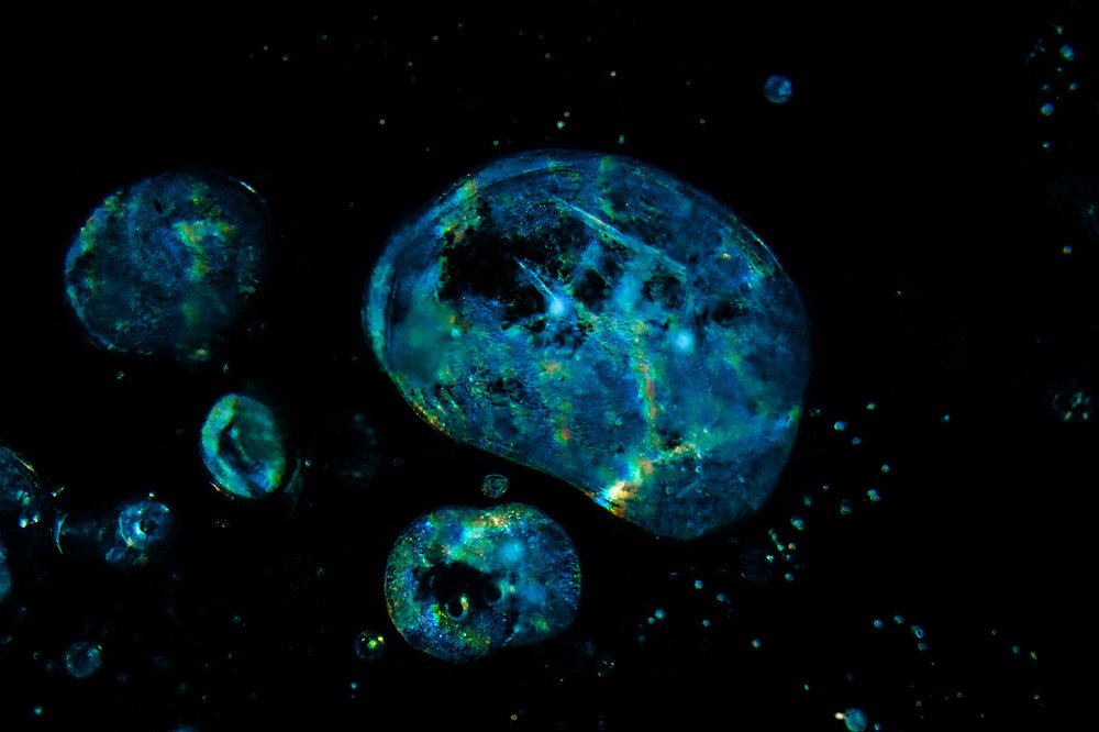 Photograph by Елена Сизых