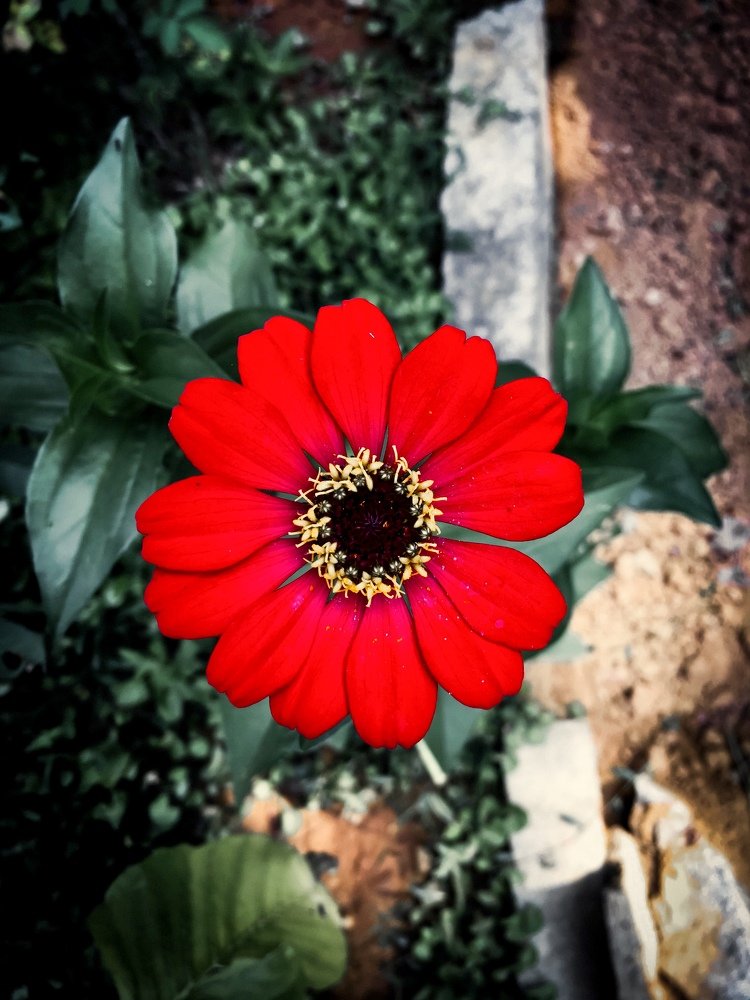 Photograph by Sanketh