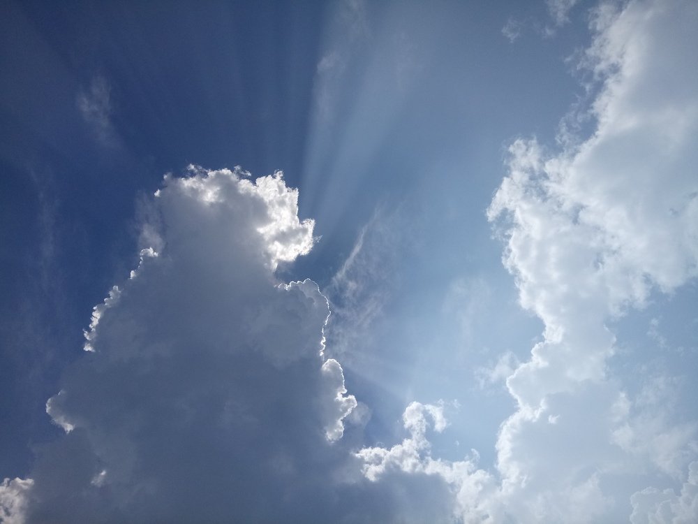 Photograph by Raaj Kiran