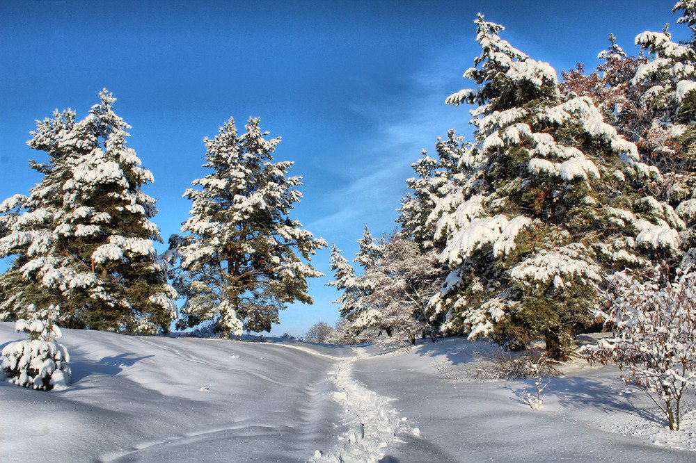 Photograph by Юлия Черкасова