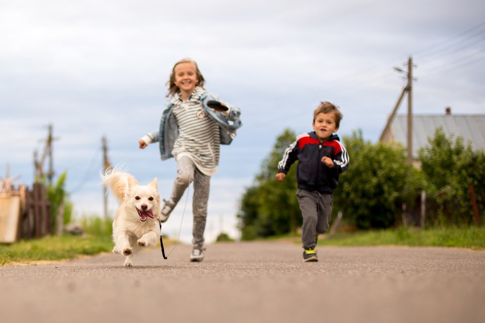 Вечерняя пробежка.