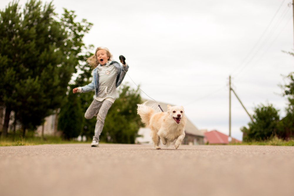 Дама с собачкой