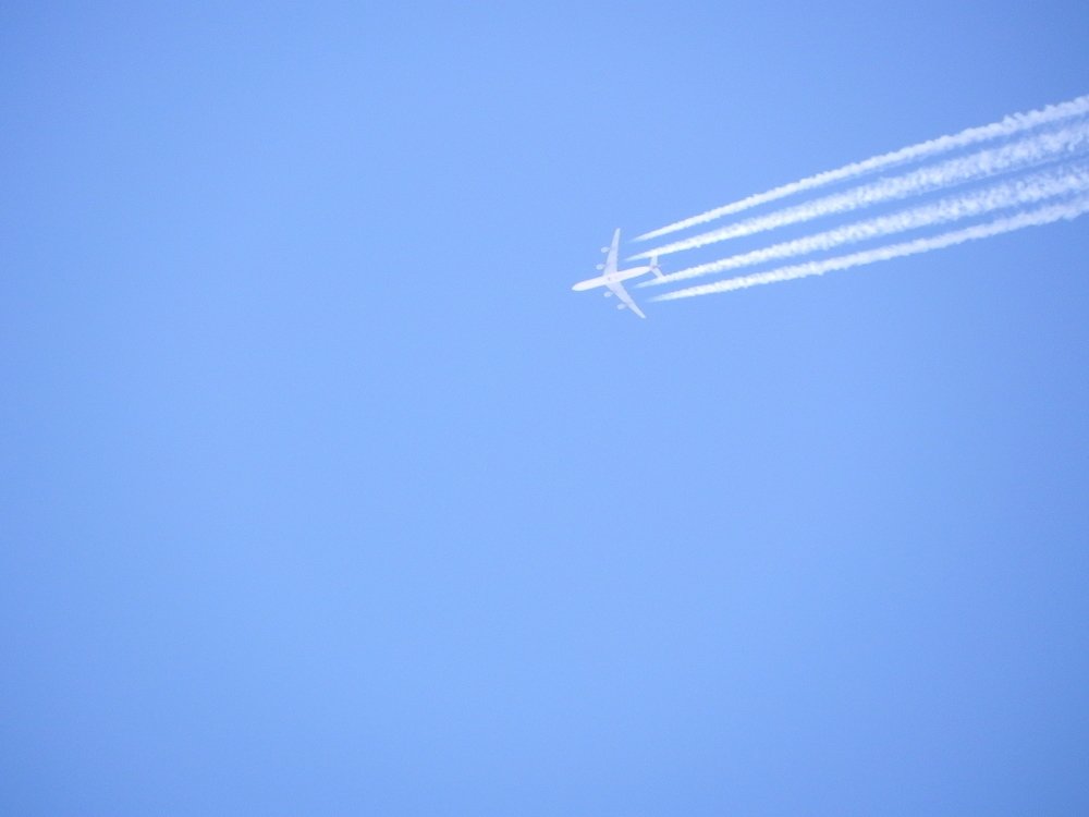 Photo #3655015