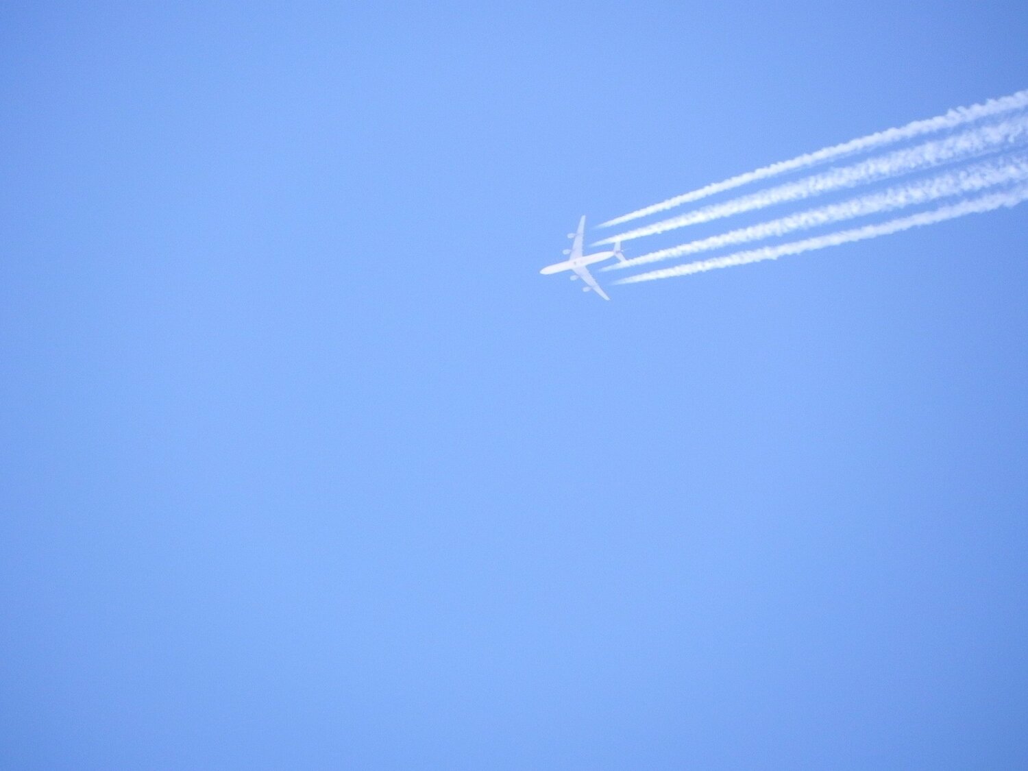Photo #3655015
