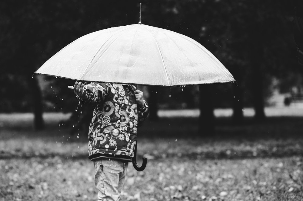 Photograph by Полина Бутырина