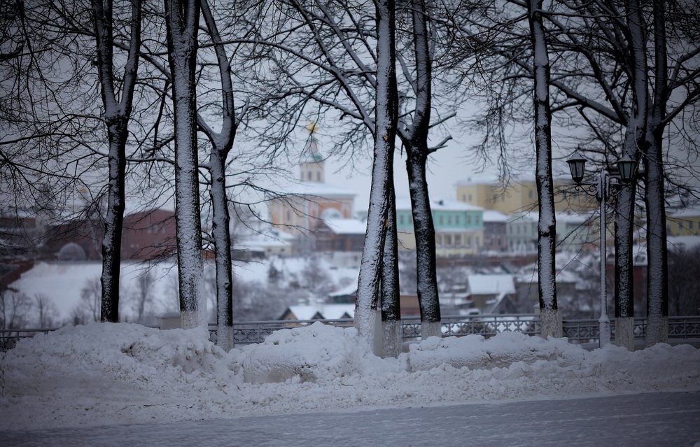 Многоликий Владимир..