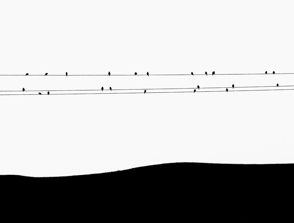 Photograph by Fatemeh Alipour