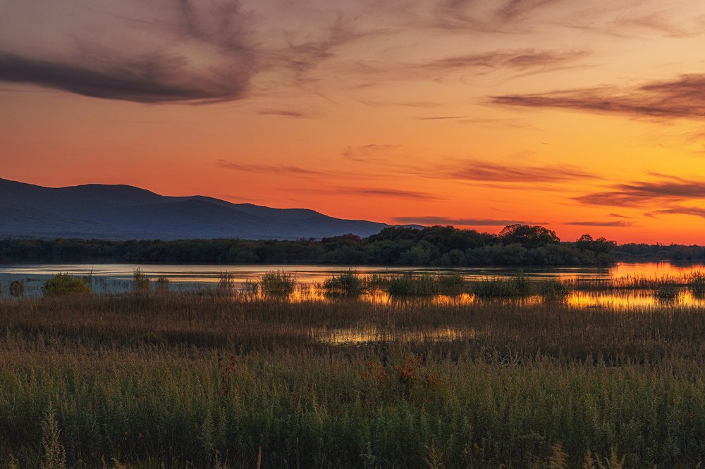 Тихий вечер