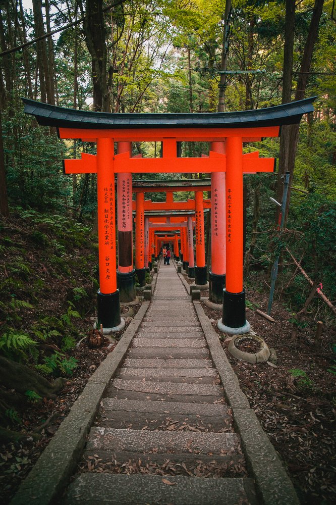 Photograph by Семён Муратов