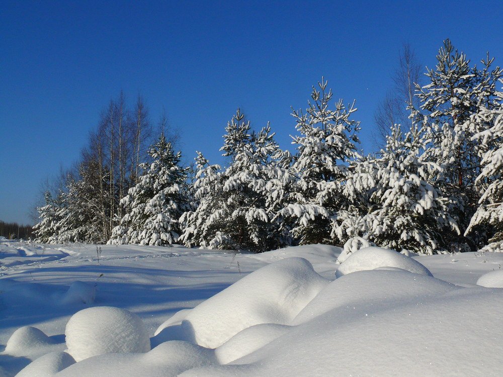 Снежная зима.