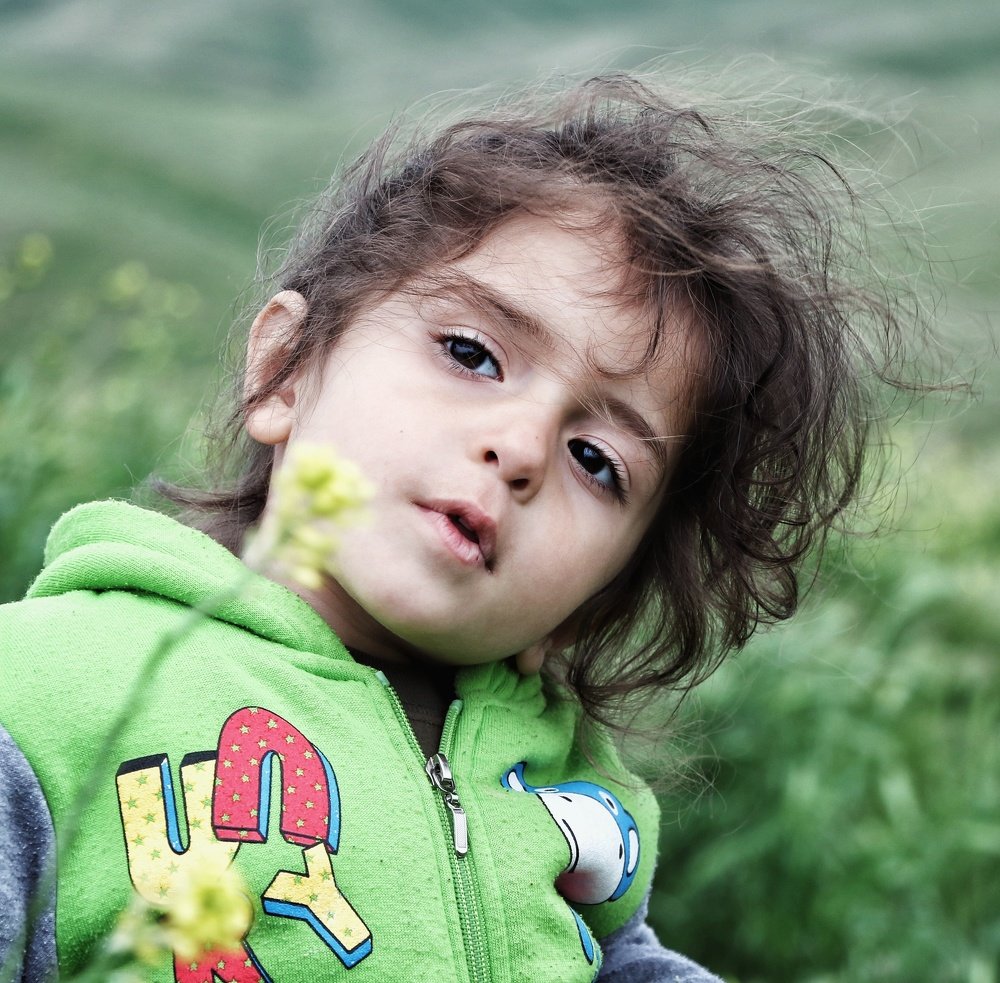 Photograph by Fatemeh Alipour