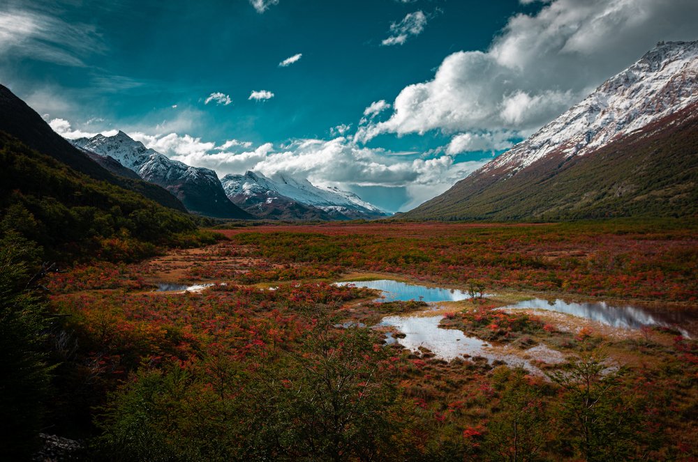 Photograph by Andrés Miraglia