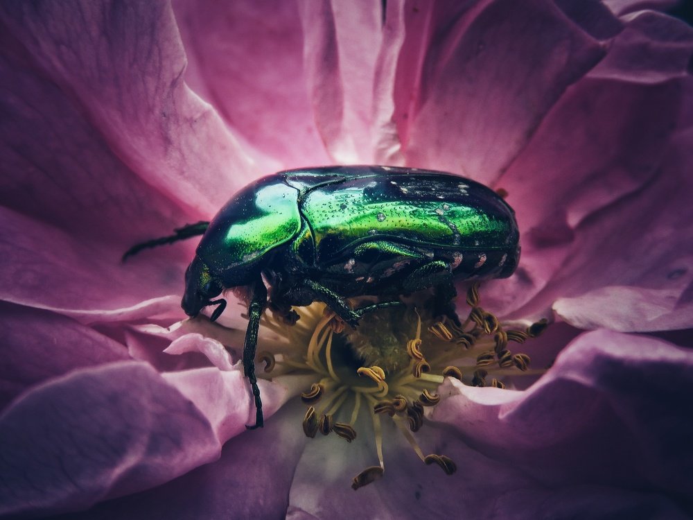 Photograph by Fatemeh Alipour