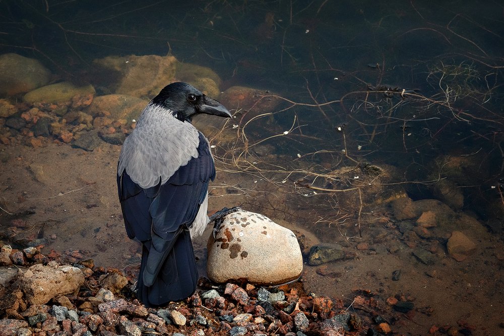 Photograph by Чистякова Валерия