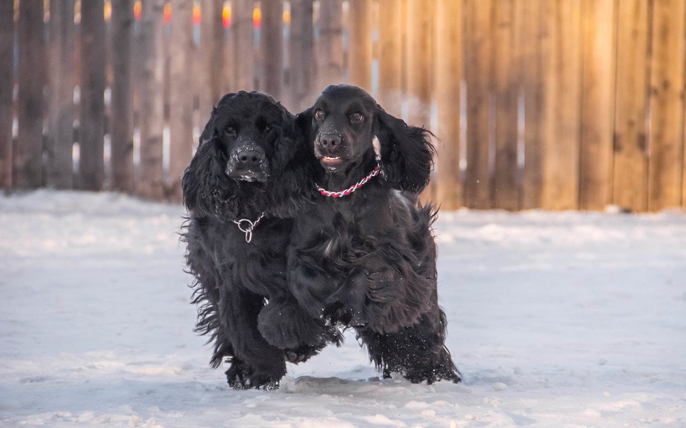 Photograph by Наталья Степанова