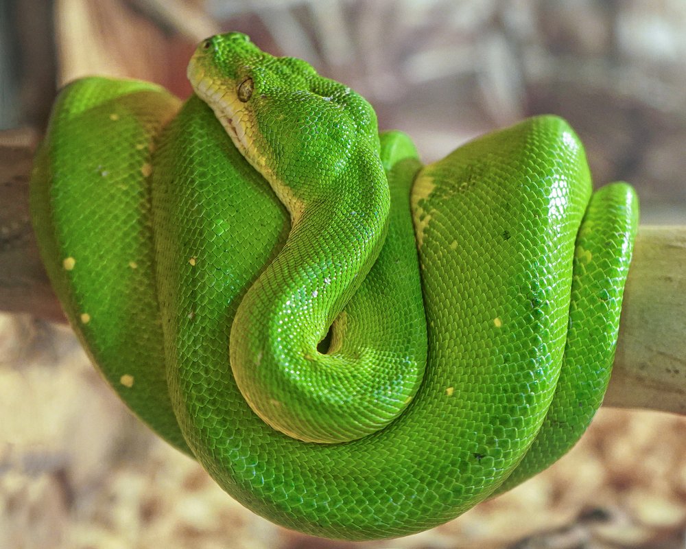 Photograph by Наталья Мирошниченко