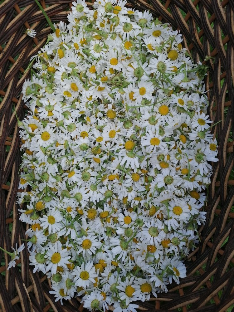 Photograph by Екатерина Тарасова