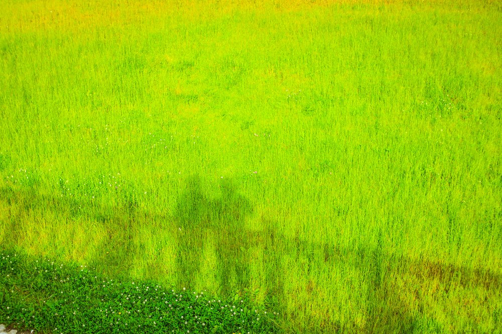 Photograph by Александр Яновский