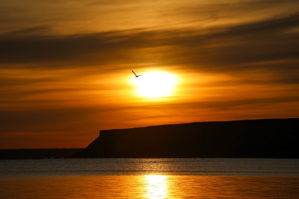 Photograph by Александр Яновский