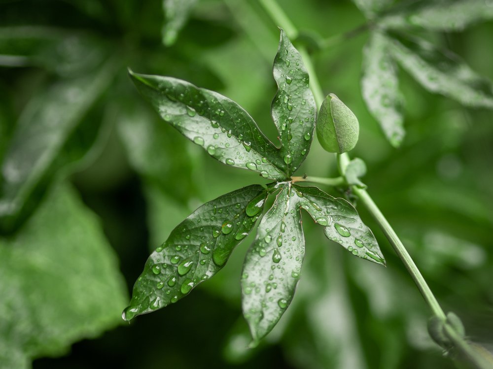 Photograph by Шихалеева 