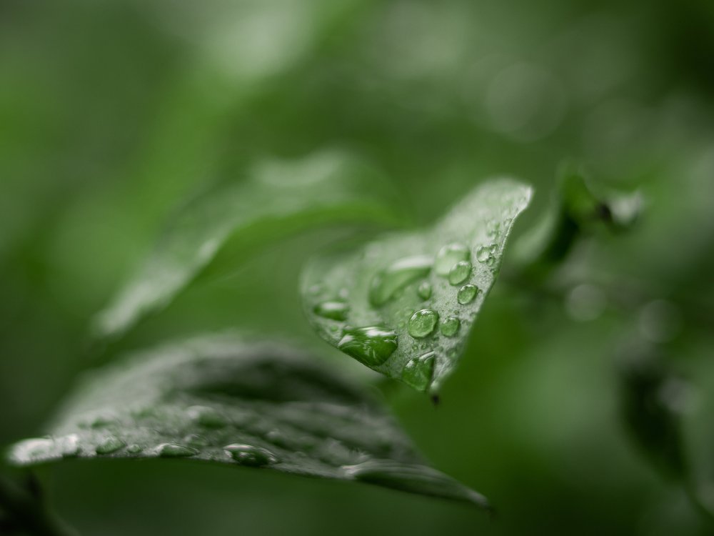 Photograph by Шихалеева 