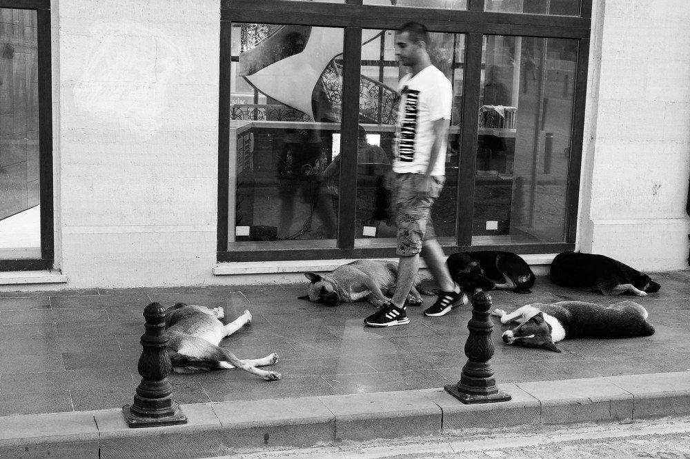 Photograph by Alimjanov Kakhramon