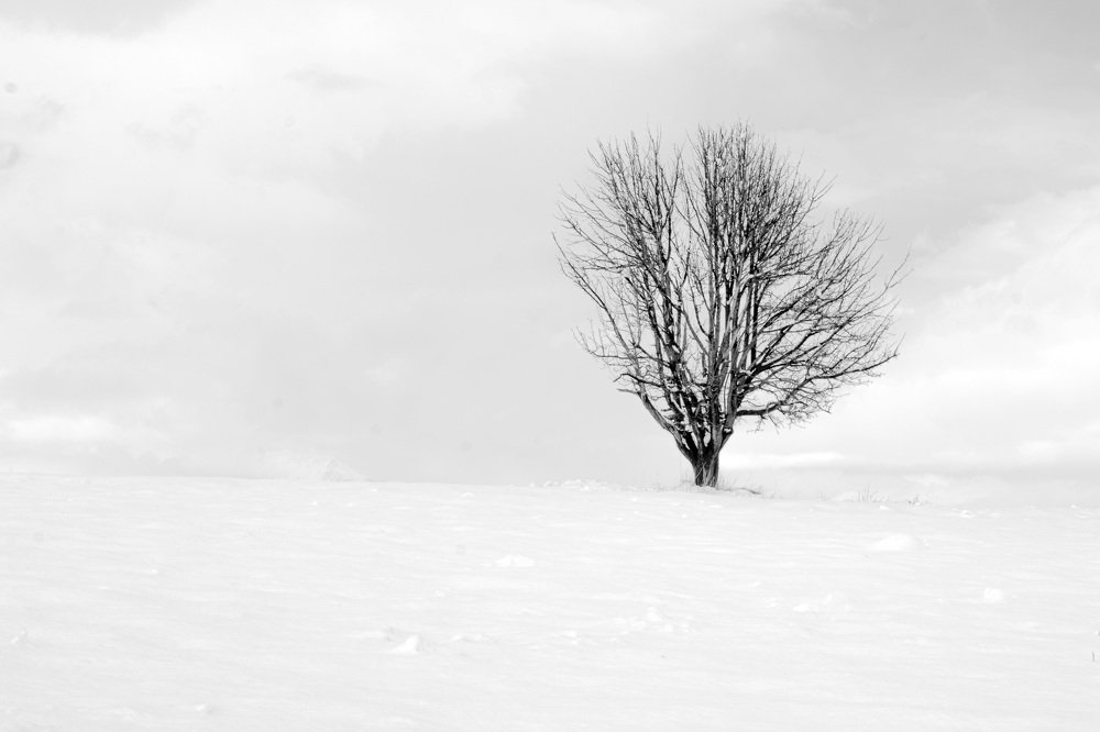 Photograph by Tayeb Ahmadi