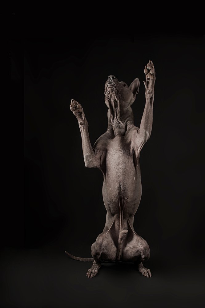 Photograph by Viktoria Baranova