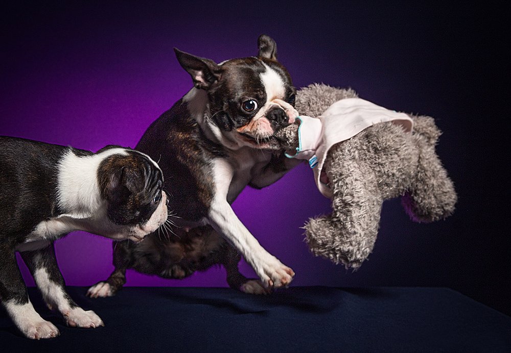 Photograph by Viktoria Baranova