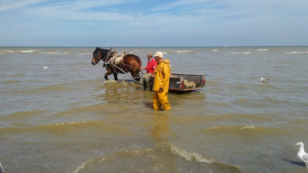 Фотография автора Valentin Claes