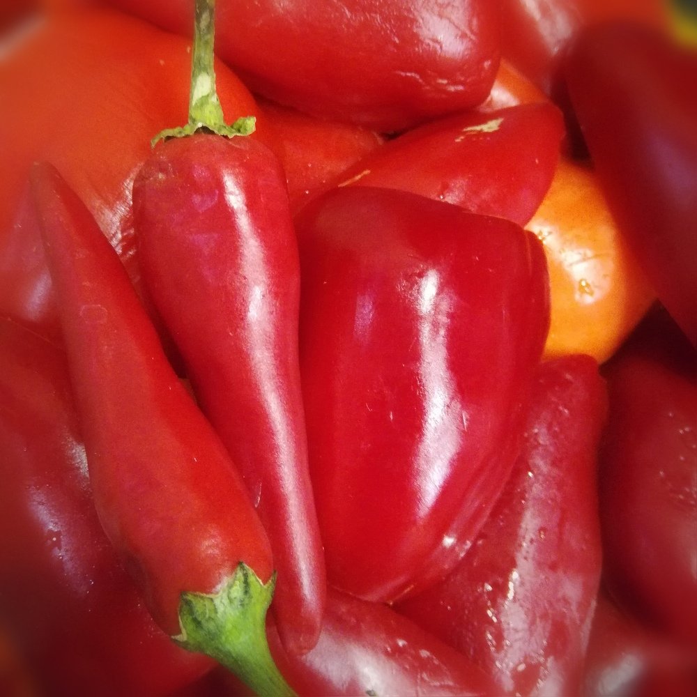 Photograph by Евгения Буркаева