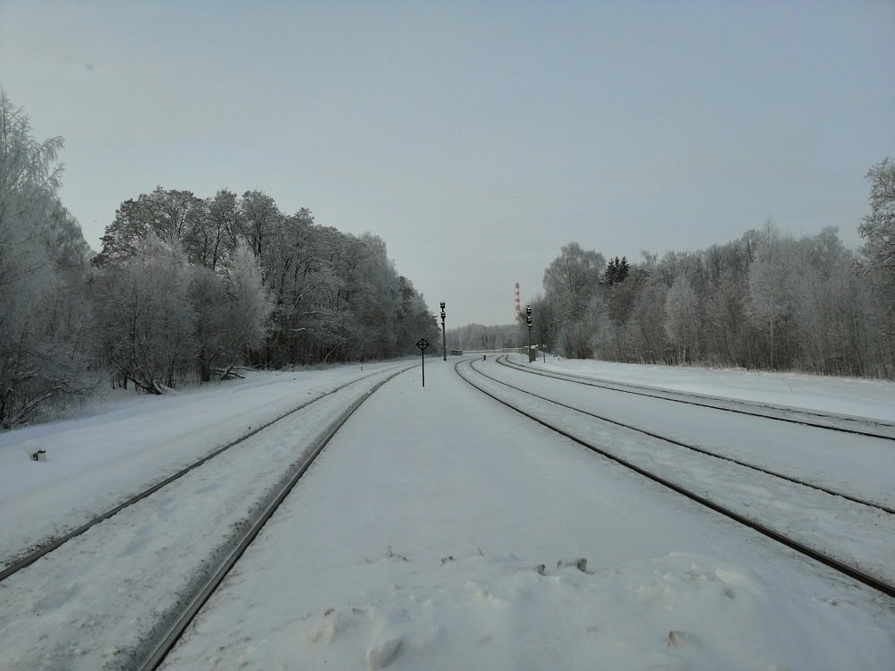 Photograph by Михаил Бородкин