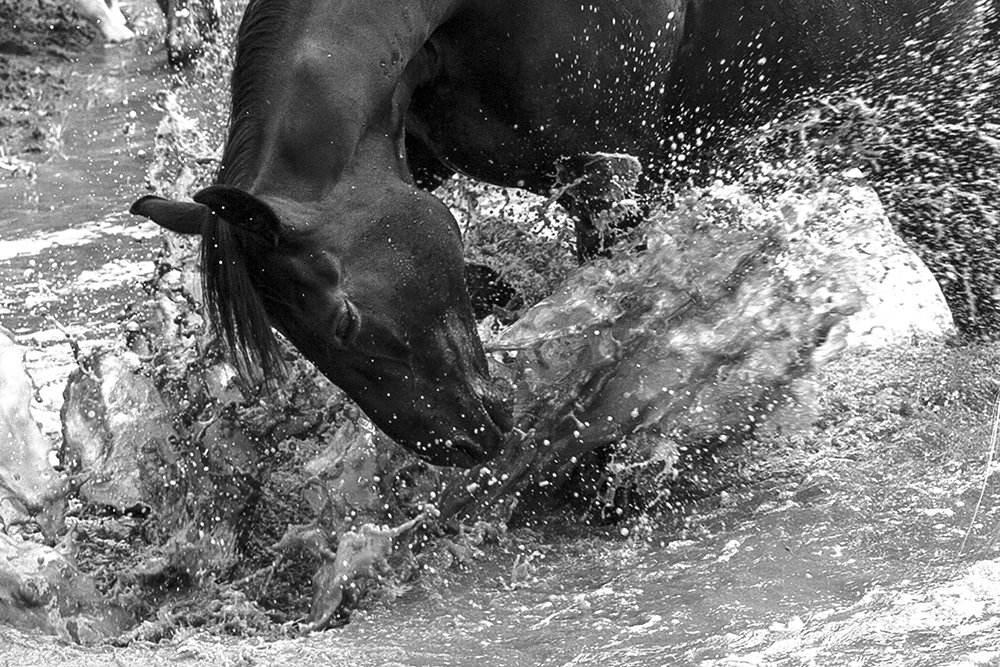 Photograph by Игорь Глазунов