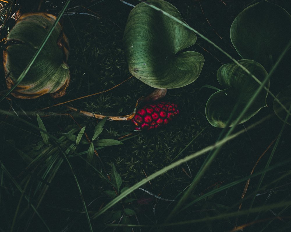 Photograph by Вадим Величко