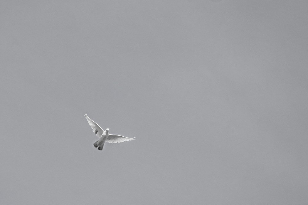 Photograph by Tayeb Ahmadi