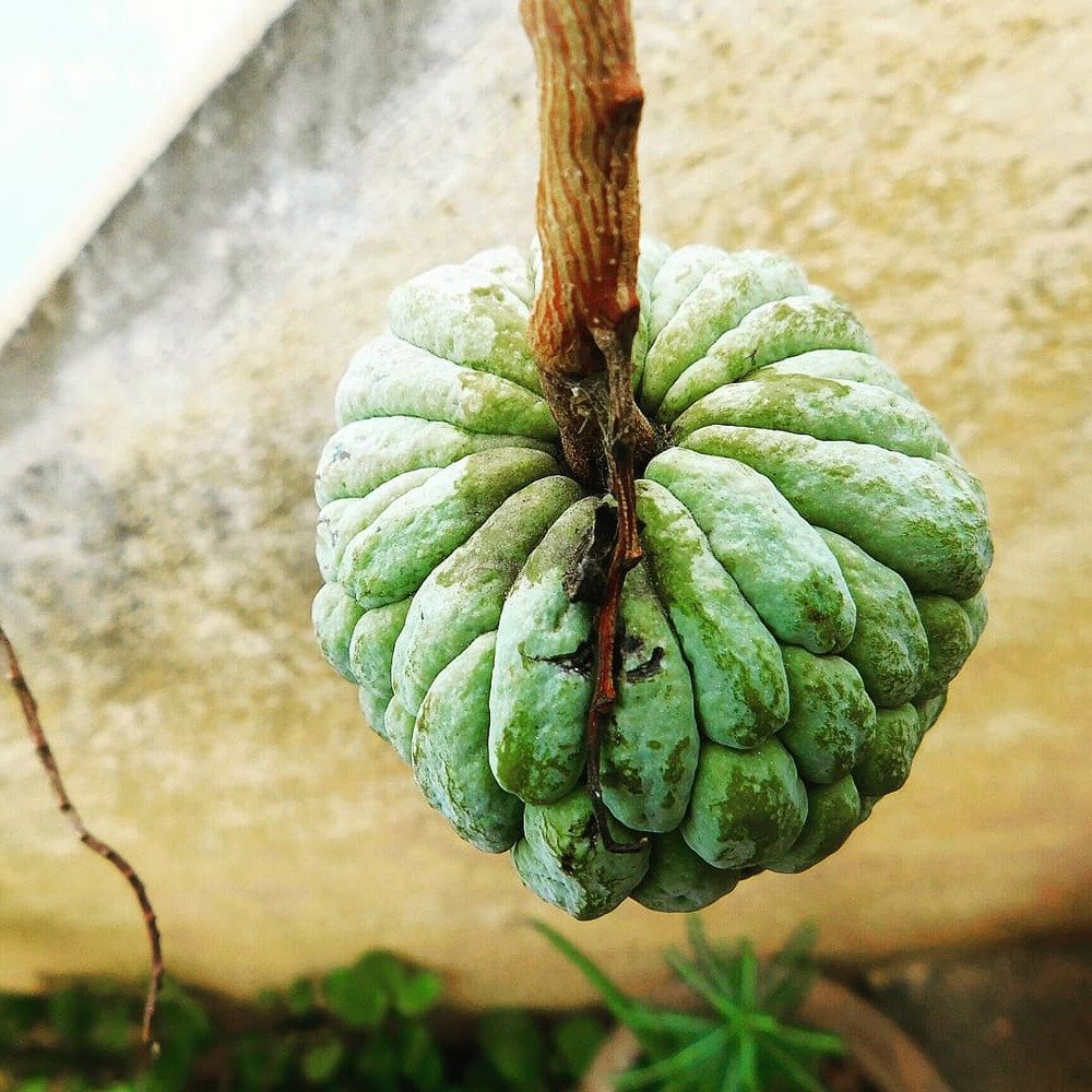 Photograph by  Diwakaran D