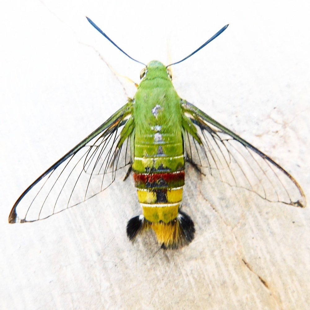 Photograph by  Diwakaran D