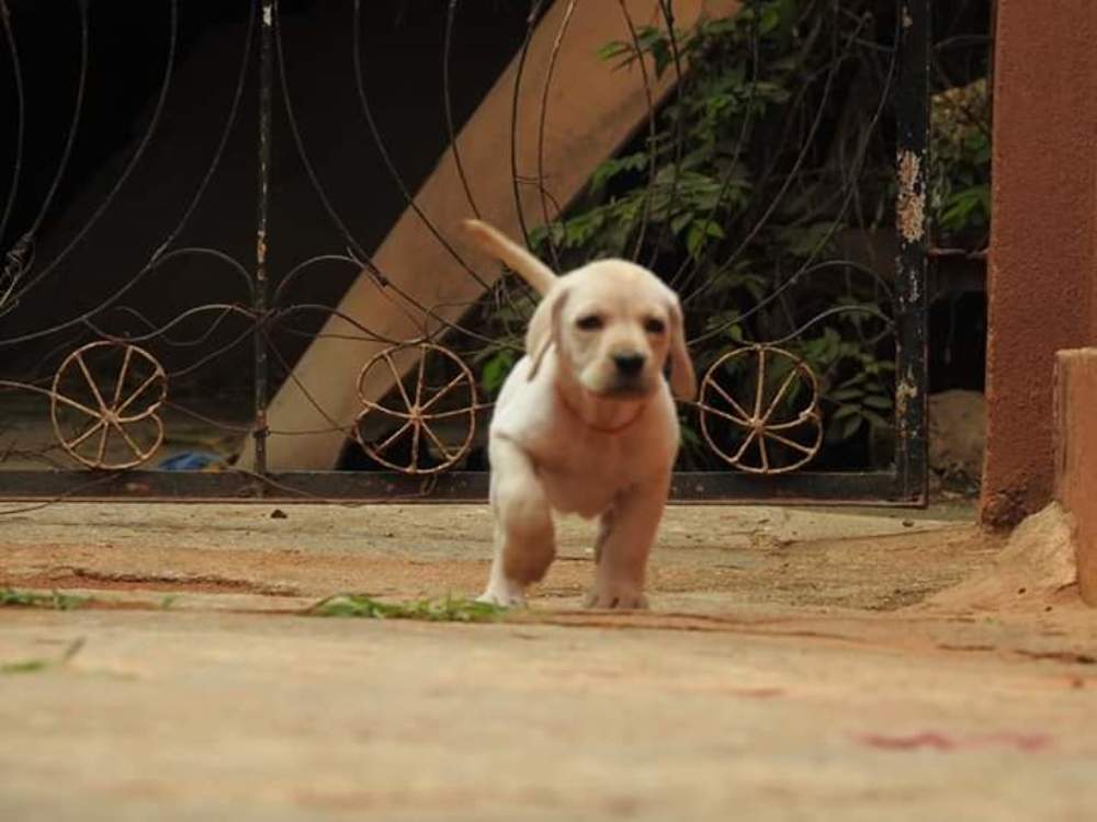 Photograph by  Diwakaran D