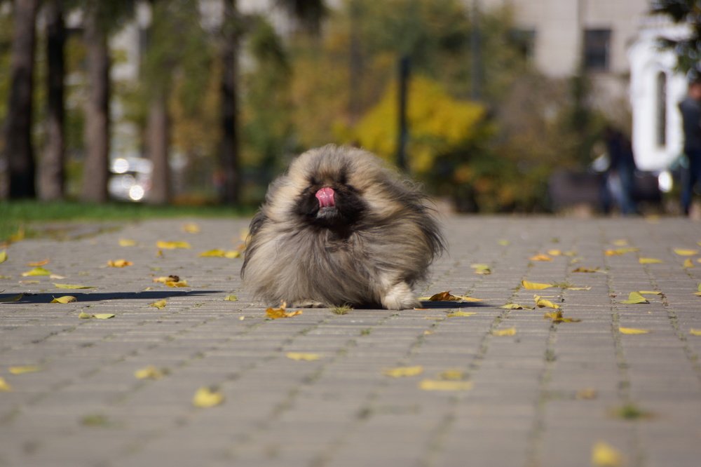 Довольный Жизнью!