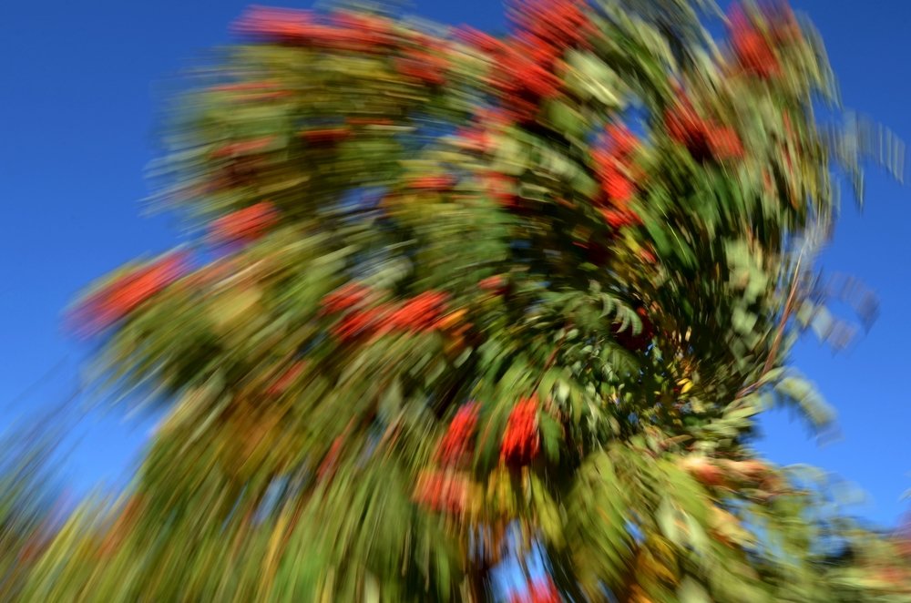 Photograph by Ольга Мокрова