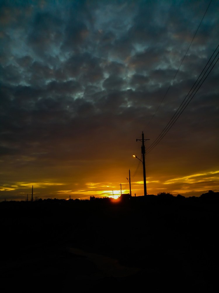 Photo #3656029