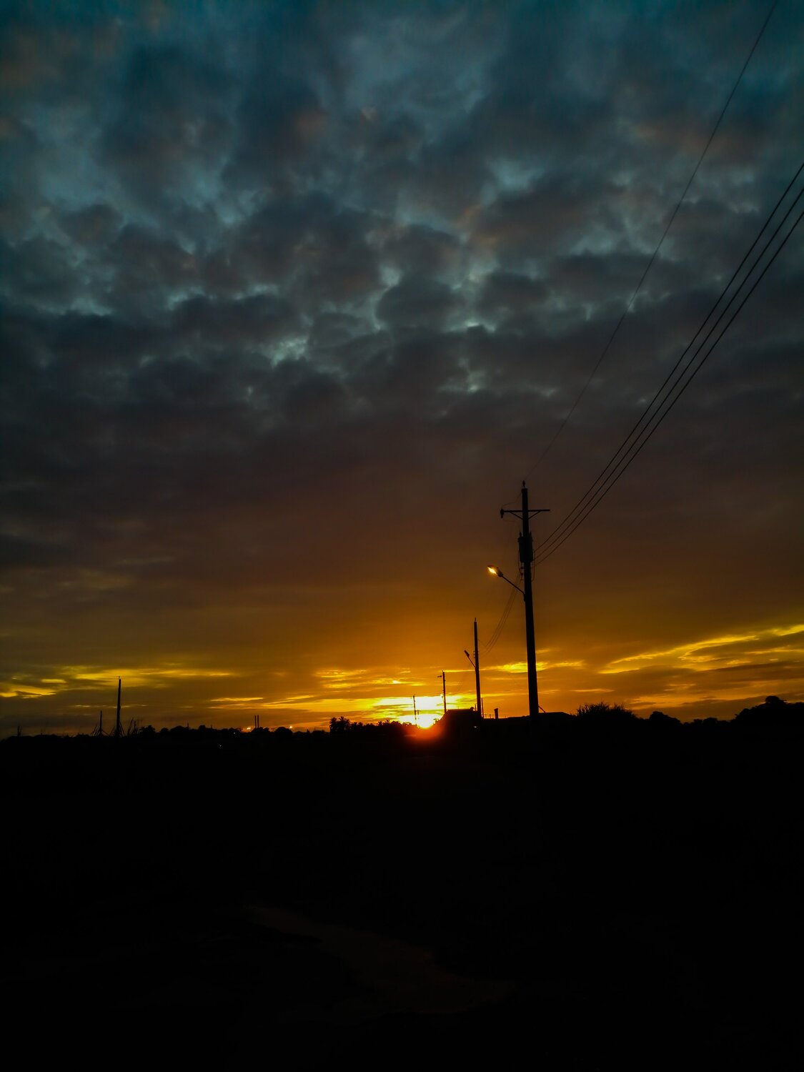 Photo #3656029