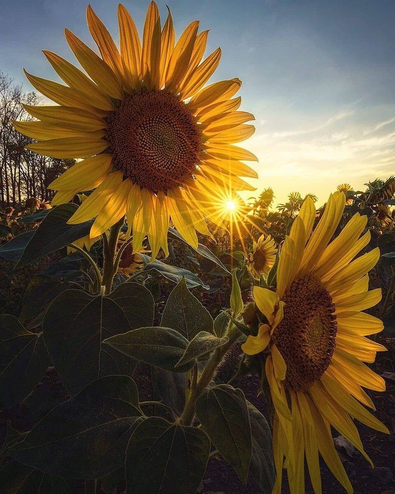 Photograph by Hashmi Younus