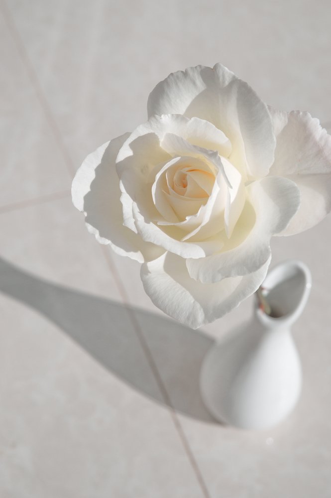 Photograph by Людмила Ефремова