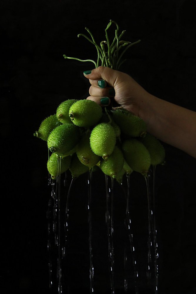 Photograph by Sonia Noor