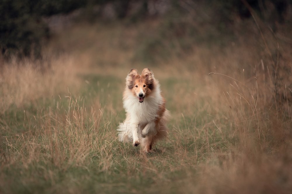 Photograph by Alisa Borodin